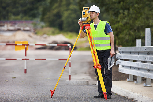 Surveyor